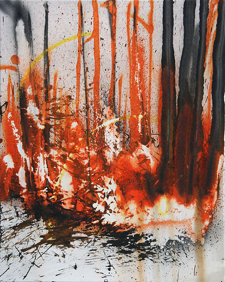 Burning Forest - 2009